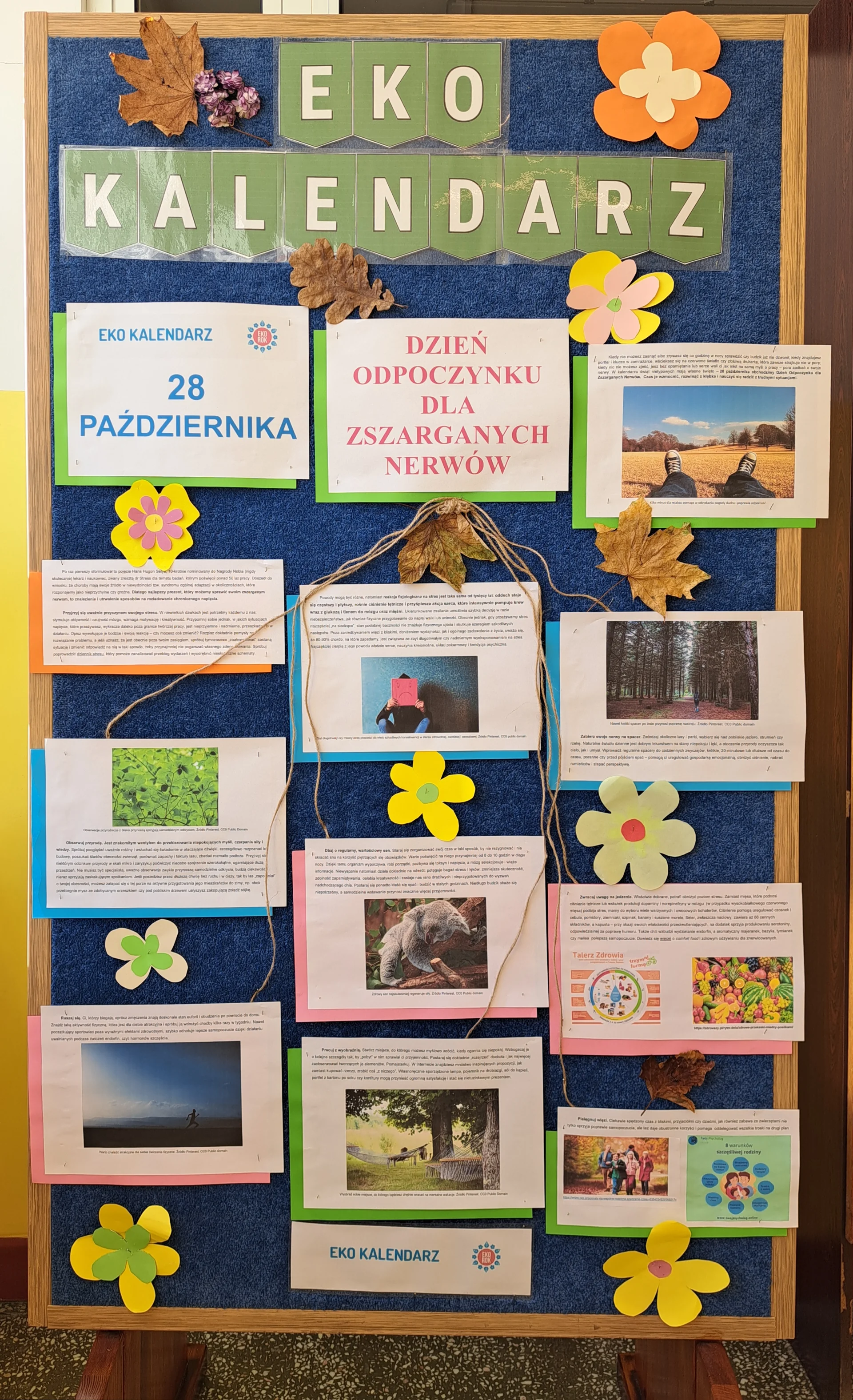 Dzień Odpoczynku dla Zszarganych Nerwów